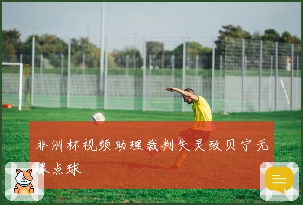 非洲杯视频助理裁判失灵致贝宁无缘点球